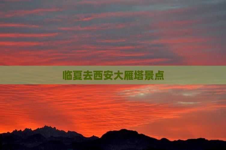 临夏去西安大雁塔景点