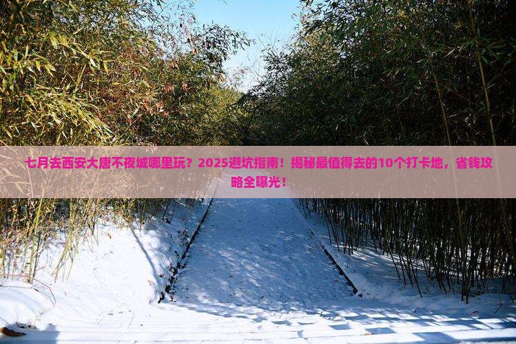 七月去西安大唐不夜城哪里玩