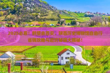 鹤壁去西安陕西历史博物馆自由团
