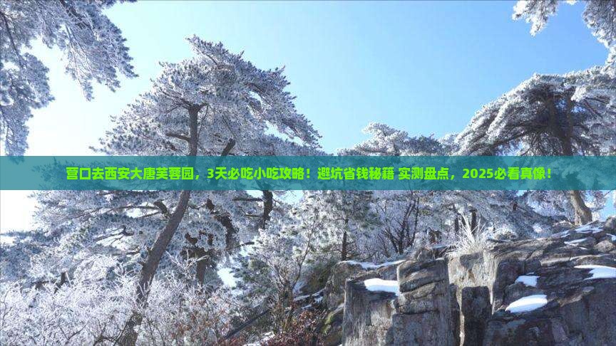 营口去西安大唐芙蓉园旅游小吃