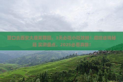 营口去西安大唐芙蓉园旅游小吃