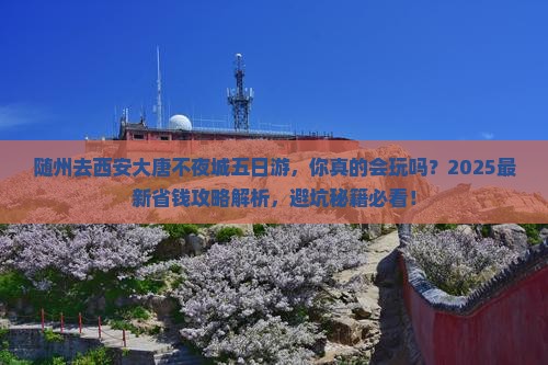 随州去西安大唐不夜城五日游