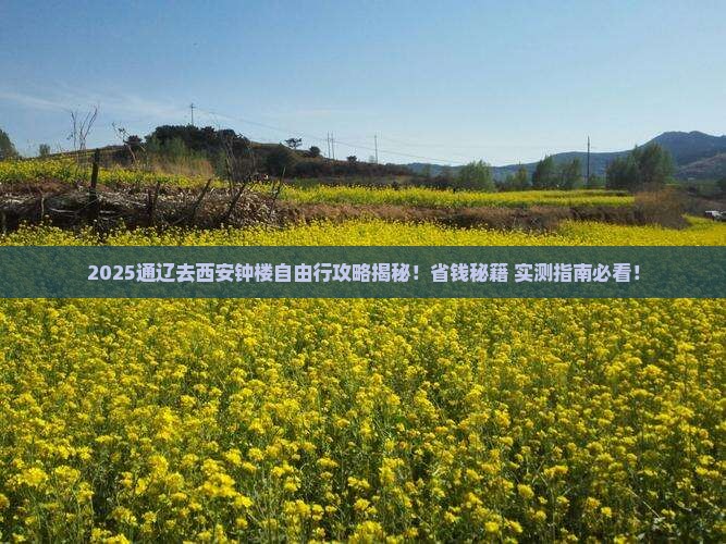通辽去西安钟楼自由团