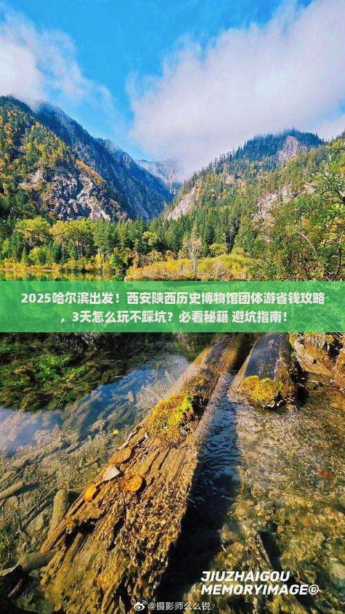 哈尔滨到西安陕西历史博物馆团体旅游