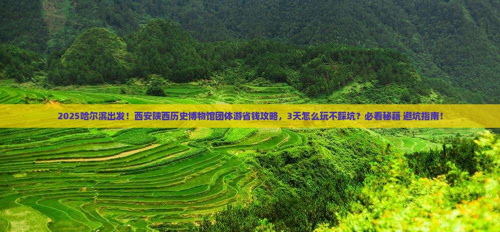 哈尔滨到西安陕西历史博物馆团体旅游