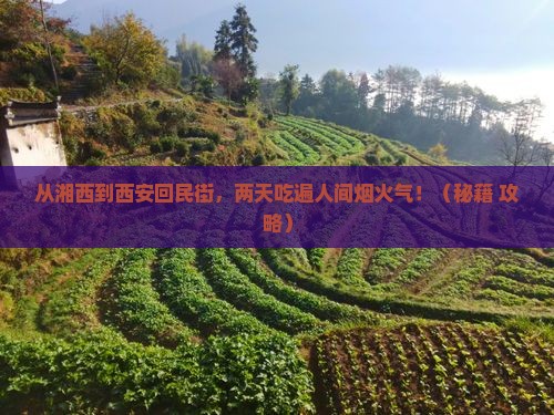 湘西到西安回民街二日游
