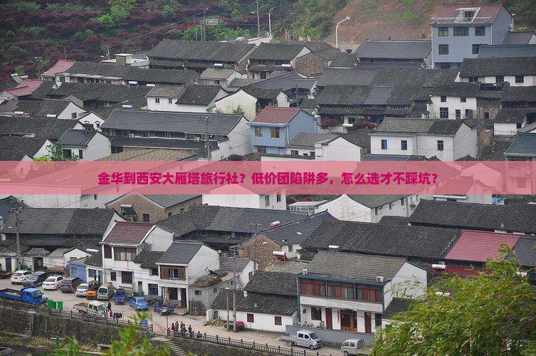 金华到西安大雁塔旅行社
