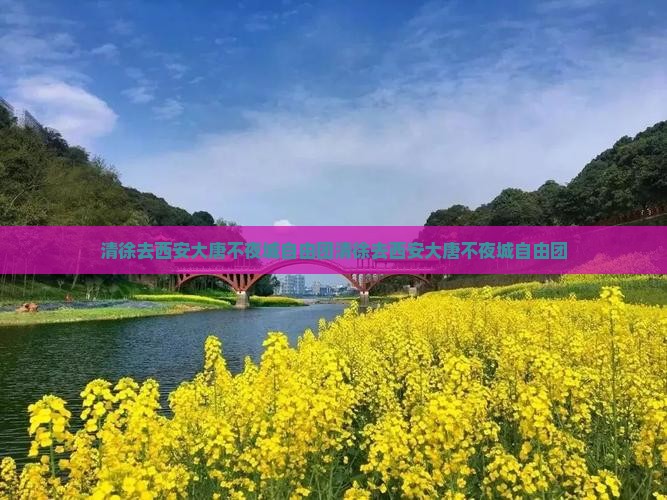 清徐去西安大唐不夜城自由团