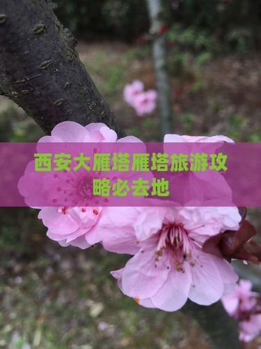 宜春去西安大雁塔必去地