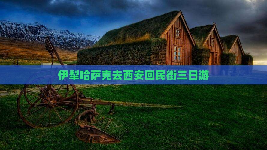 伊犁哈萨克去西安回民街三日游