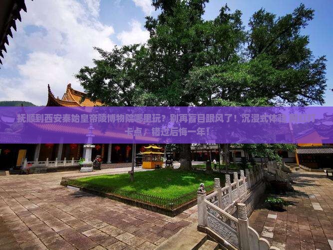 抚顺到西安秦始皇帝陵博物院哪里玩