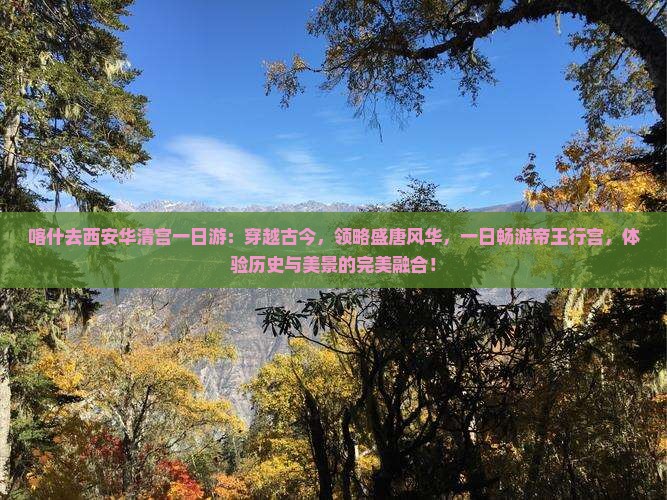 喀什去西安华清宫一日游