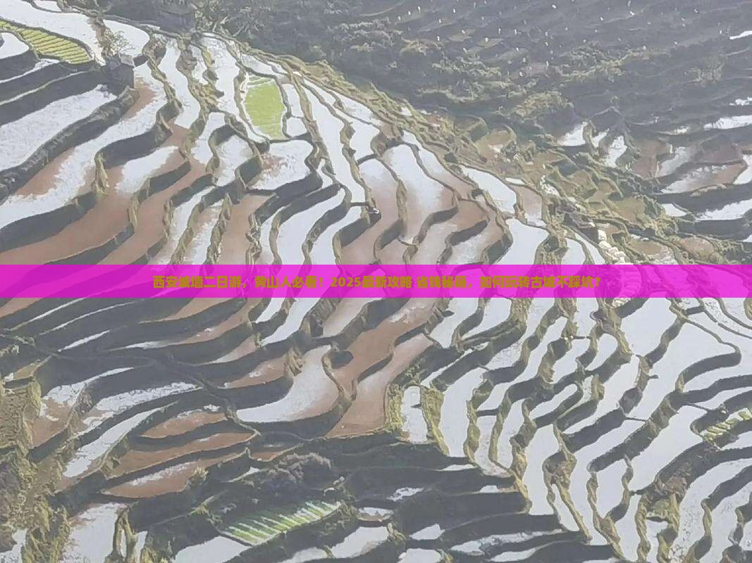 黄山去西安城墙二日游
