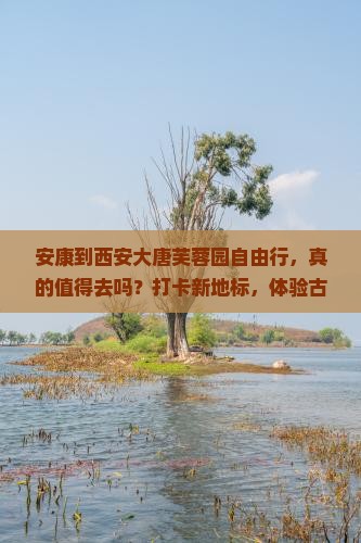 安康到西安大唐芙蓉园自由行
