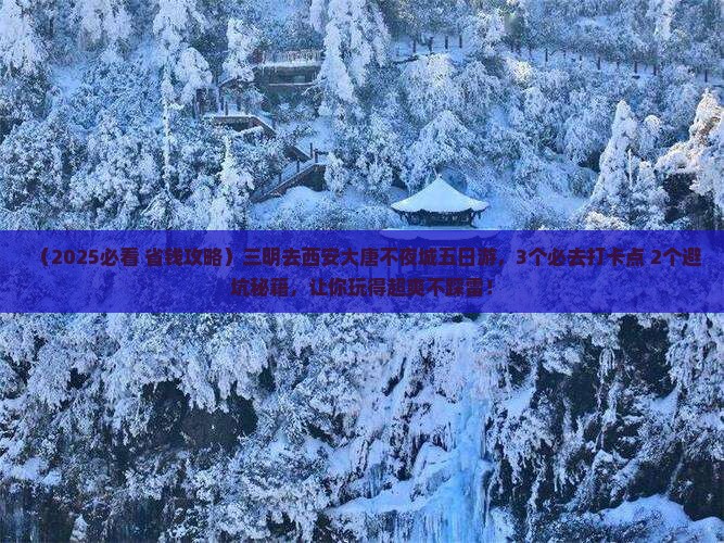 三明去西安大唐不夜城五日游