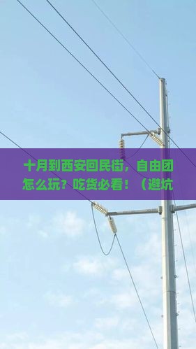 十月到西安回民街自由团
