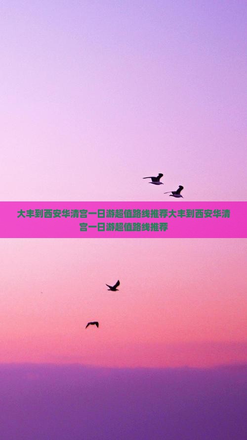 大丰到西安华清宫一日游