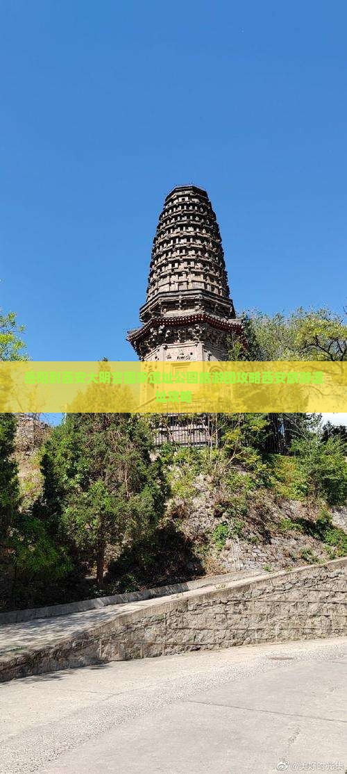 岳阳到西安大明宫国家遗址公园大型旅游团
