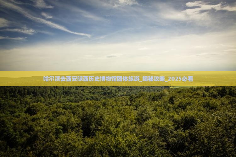 哈尔滨去西安陕西历史博物馆团体旅游