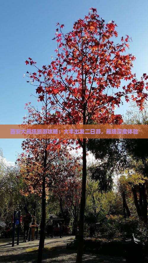 大丰到西安大雁塔二日游