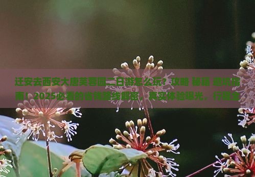 迁安去西安大唐芙蓉园二日游