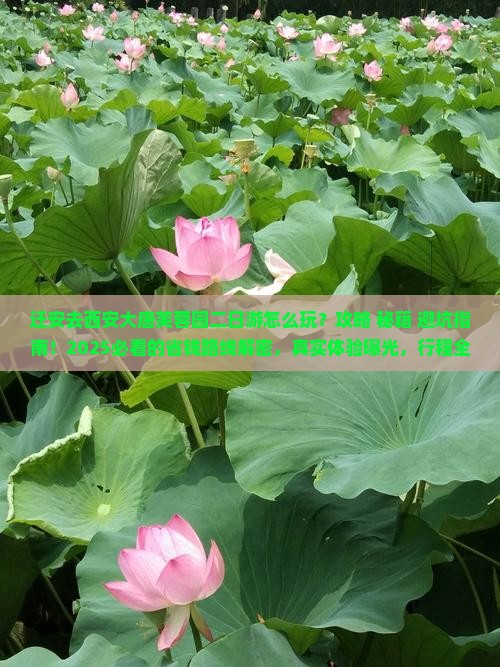 迁安去西安大唐芙蓉园二日游