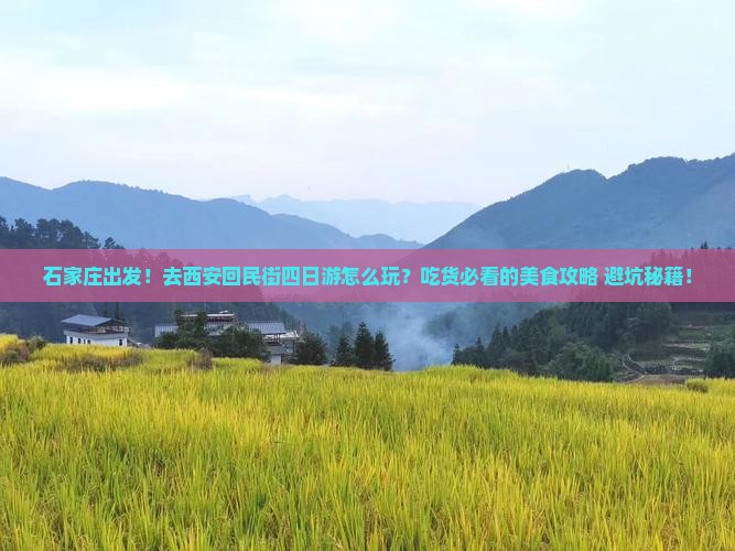 石家庄去西安回民街四日游