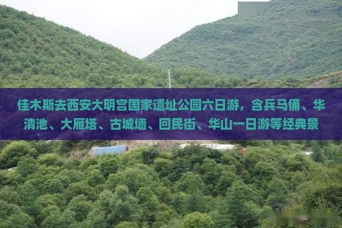 佳木斯去西安大明宫国家遗址公园六日游