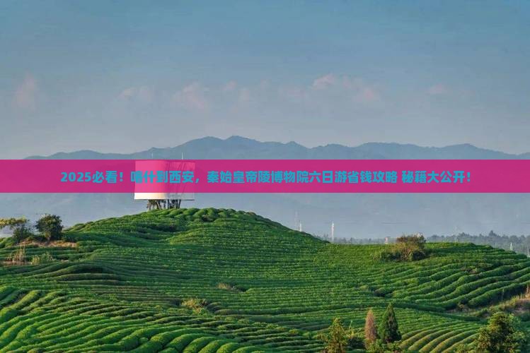 喀什到西安秦始皇帝陵博物院六日游
