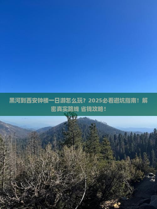 黑河到西安钟楼一日游