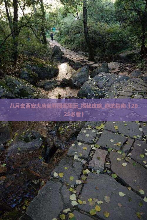 八月去西安大唐芙蓉园哪里玩