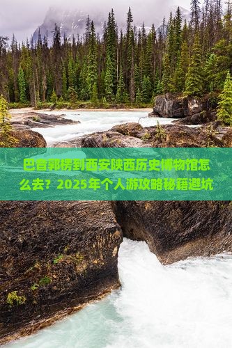 巴音郭楞到西安陕西历史博物馆个人游