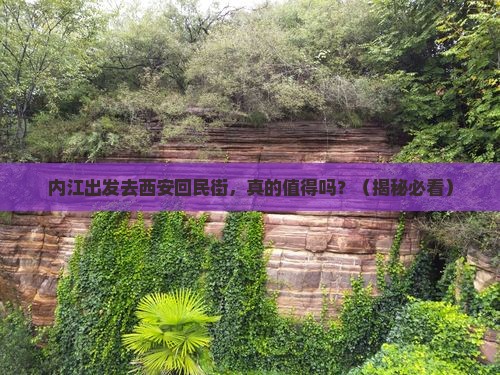 内江去西安回民街旅游