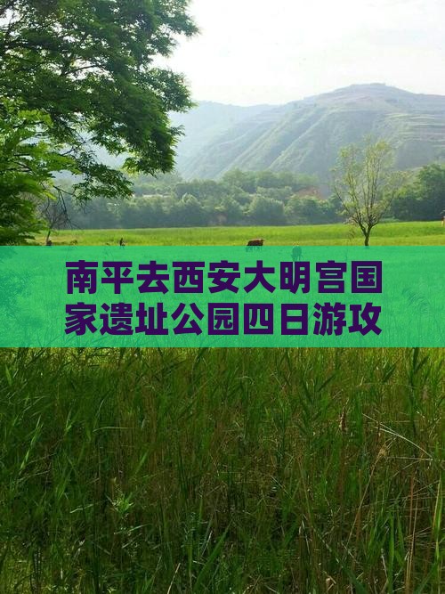 南平去西安大明宫国家遗址公园四日游