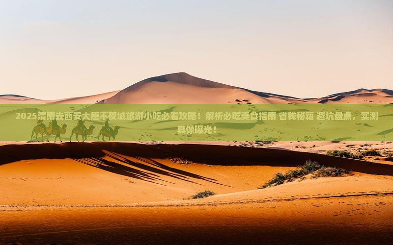 渭南去西安大唐不夜城旅游小吃