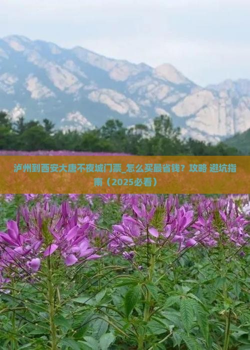 泸州到西安大唐不夜城门票