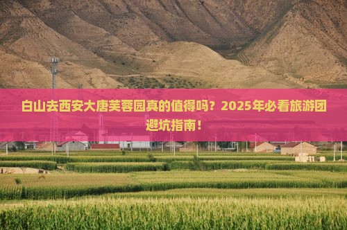 白山去西安大唐芙蓉园大型旅游团