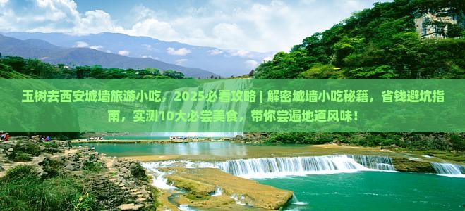 玉树去西安城墙旅游小吃