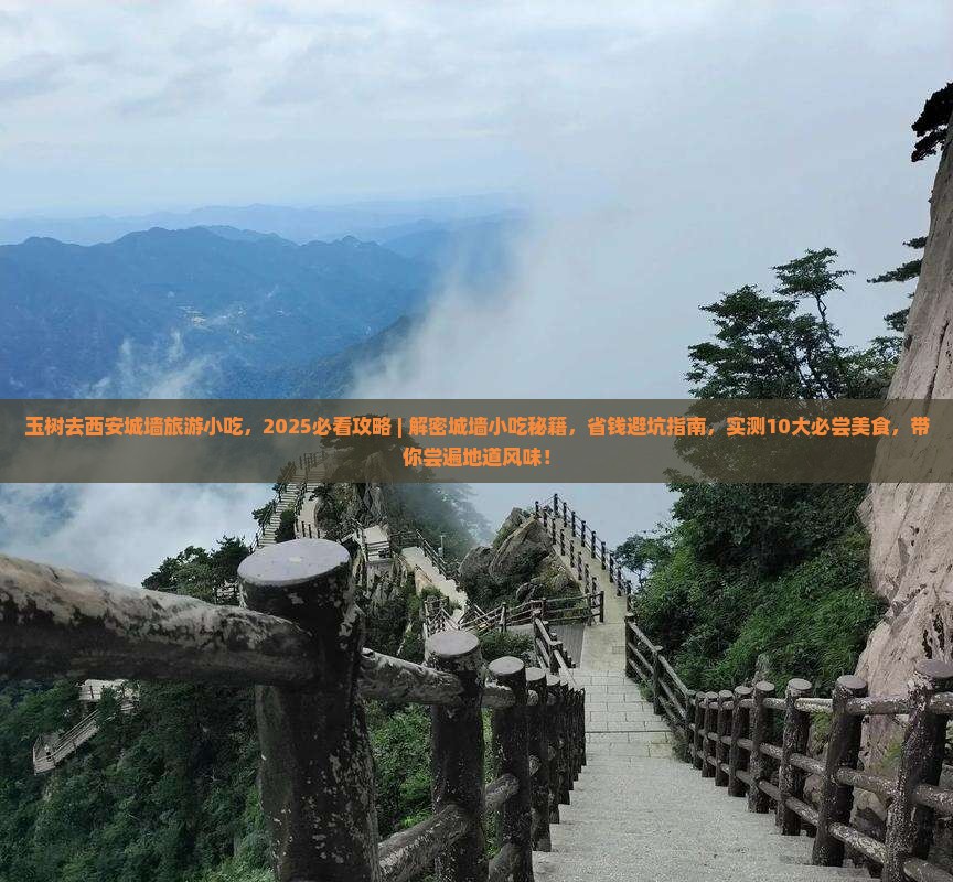玉树去西安城墙旅游小吃