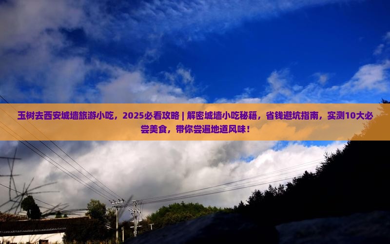 玉树去西安城墙旅游小吃