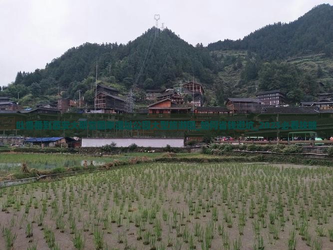 吐鲁番到西安大明宫国家遗址公园大型旅游团