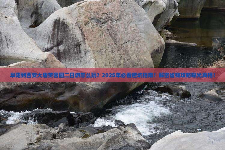 阜阳到西安大唐芙蓉园二日游