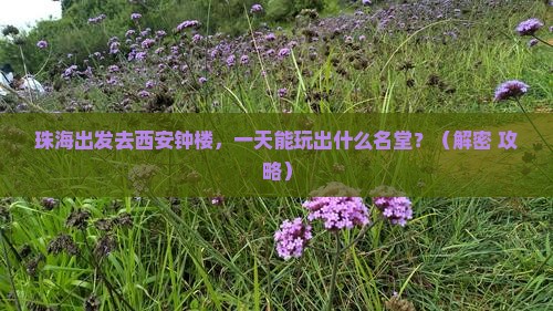珠海去西安钟楼一日游