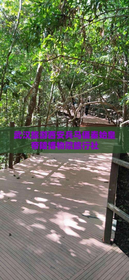 武汉去西安秦始皇帝陵博物院旅行社