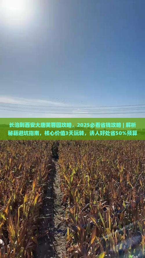 长治到西安大唐芙蓉园攻略