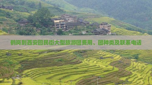 鹤岗到西安回民街大型旅游团