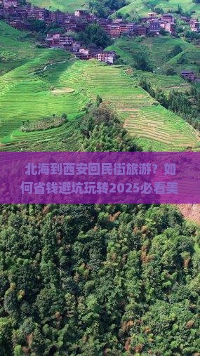 北海到西安回民街旅游