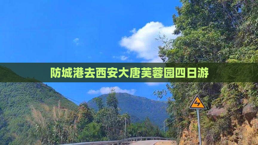 防城港去西安大唐芙蓉园四日游