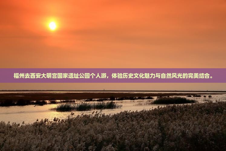 福州去西安大明宫国家遗址公园个人游