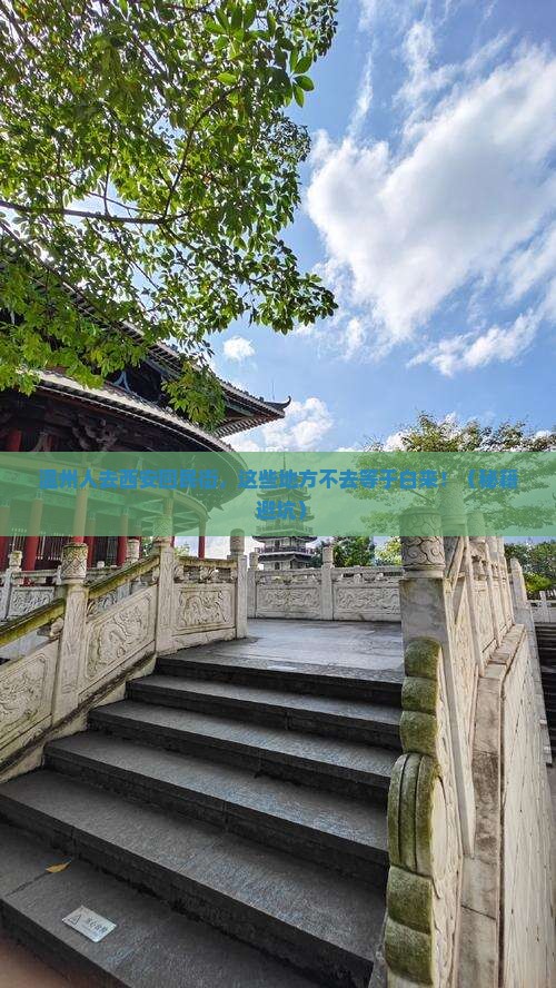温州去西安回民街必去地
